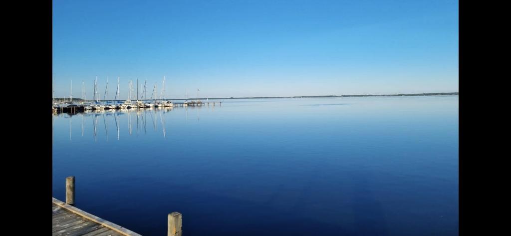 Hafen und Segelboote am Steinhuder Meer